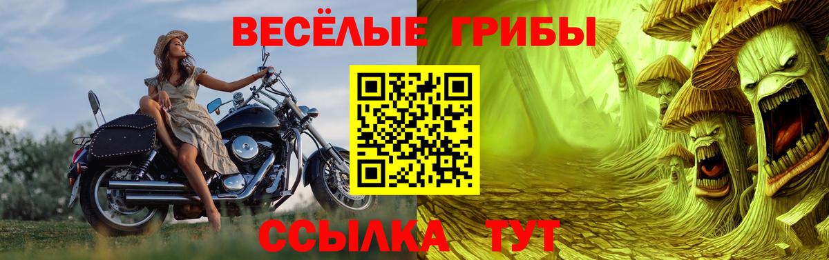 Галлюциногенные грибы Cubensis Кстово