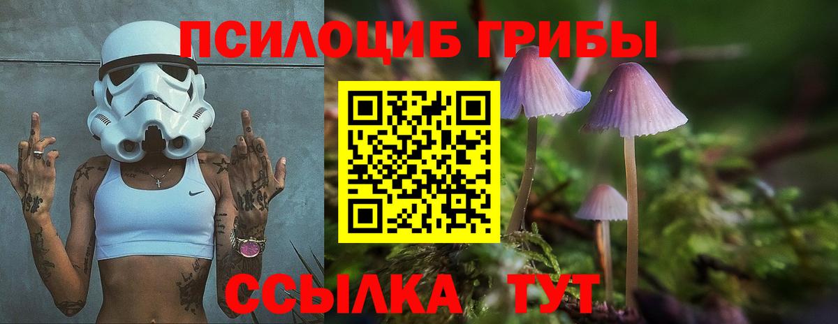 магазин продажи наркотиков  Галлюциногенные грибы Psilocybine cubensis  Вход с VPN  Кстово 